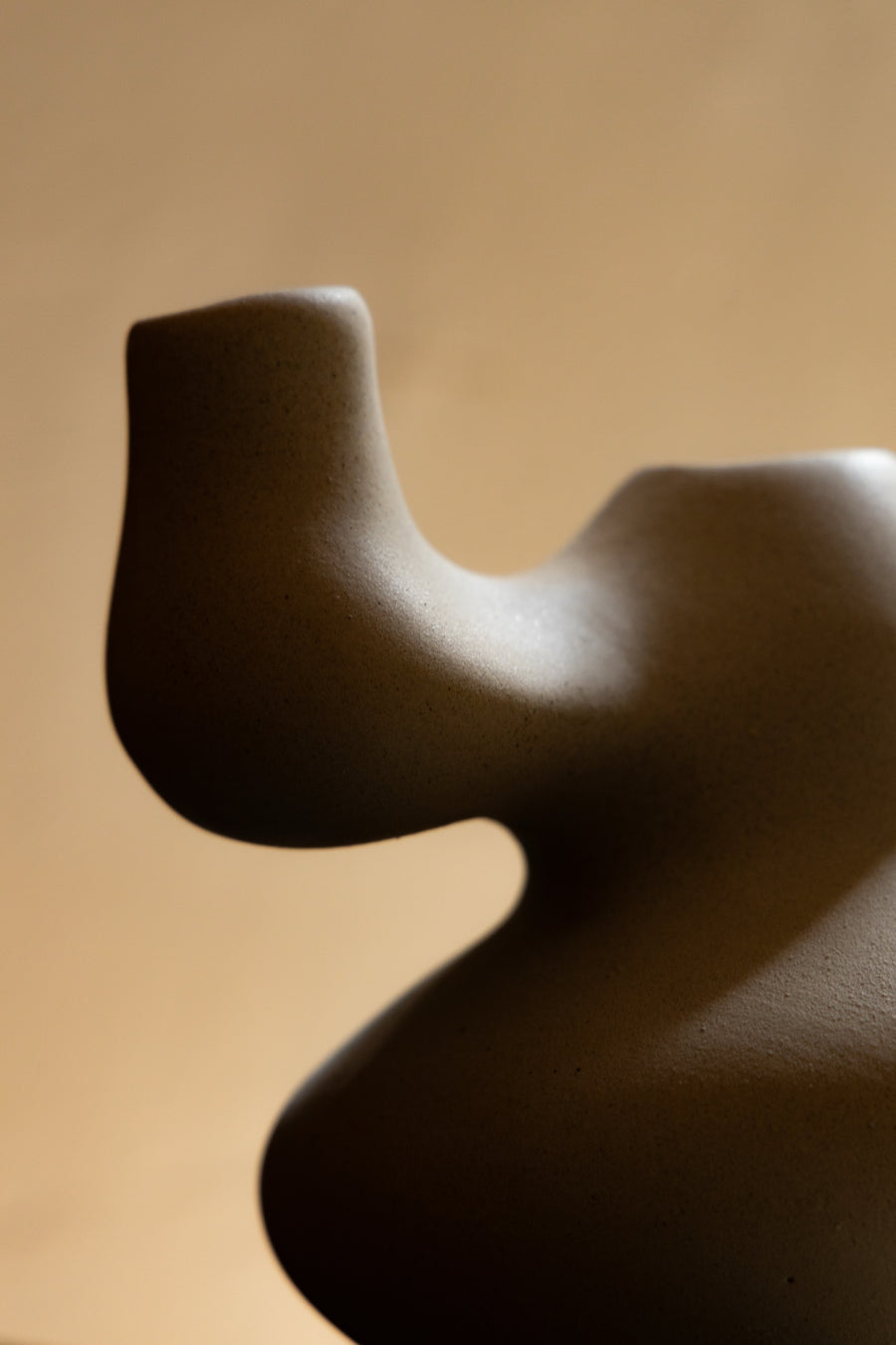 Junia, detalle de la curva
